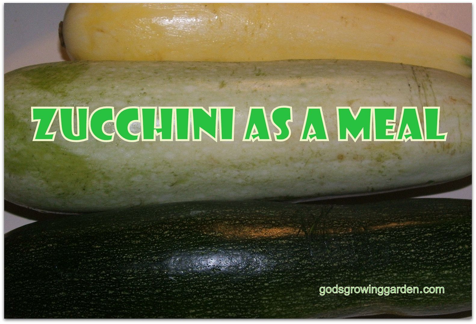 Zucchini by Angie Ouellete-Tower for godsgrowinggarden.com photo 002_zps3dbe5b4c.jpg