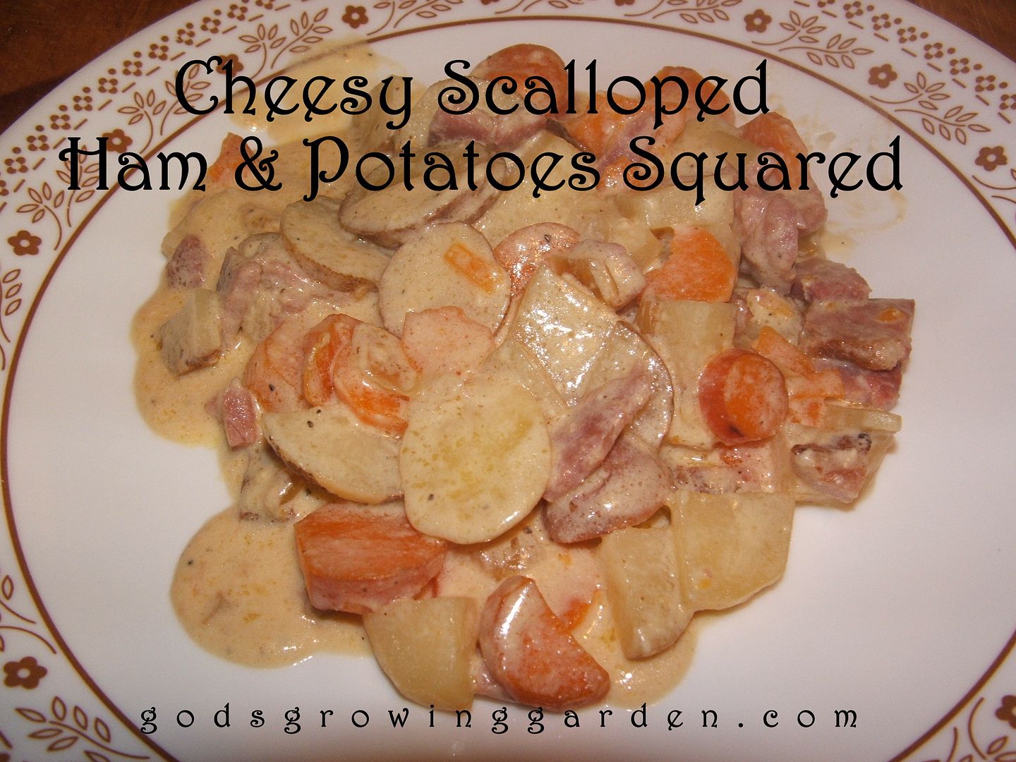 Cheesy Scalloped Potatoes Squared by Angie Ouellette-Tower for godsgrowinggarden.com photo 006_zps7406e3f9.jpg