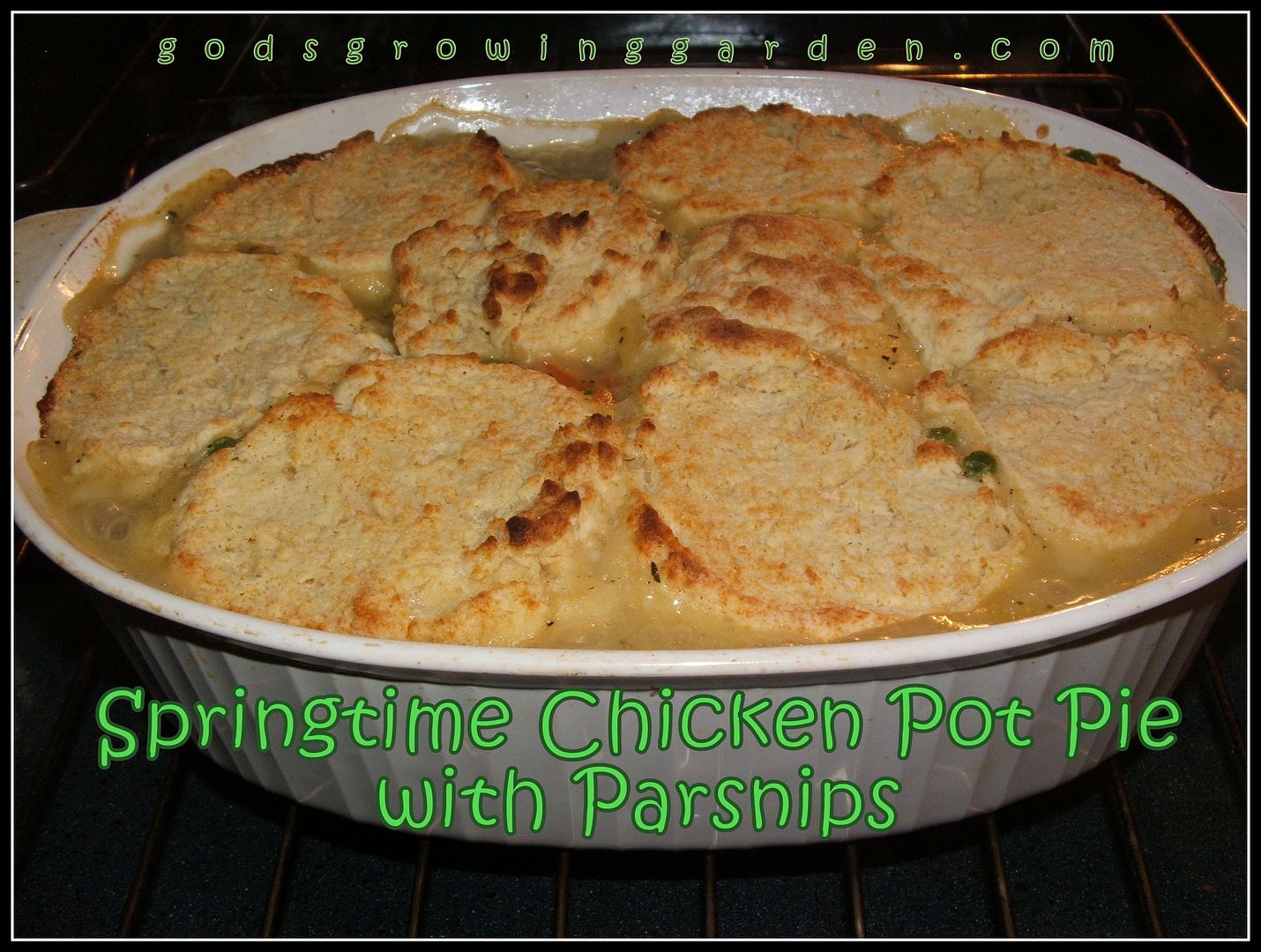Springtime Chicken Pot Pie by Angie Ouellette-Tower for godsgrowinggarden.com photo 012_zps21338ea0.jpg