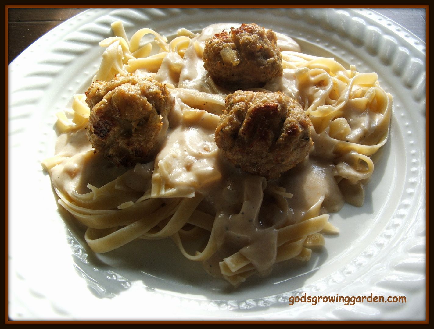 Caramelized Onion Chicken Meatballs by Angie Ouellette-Tower for godsgrowinggarden.com photo 014_zpsda010a98.jpg