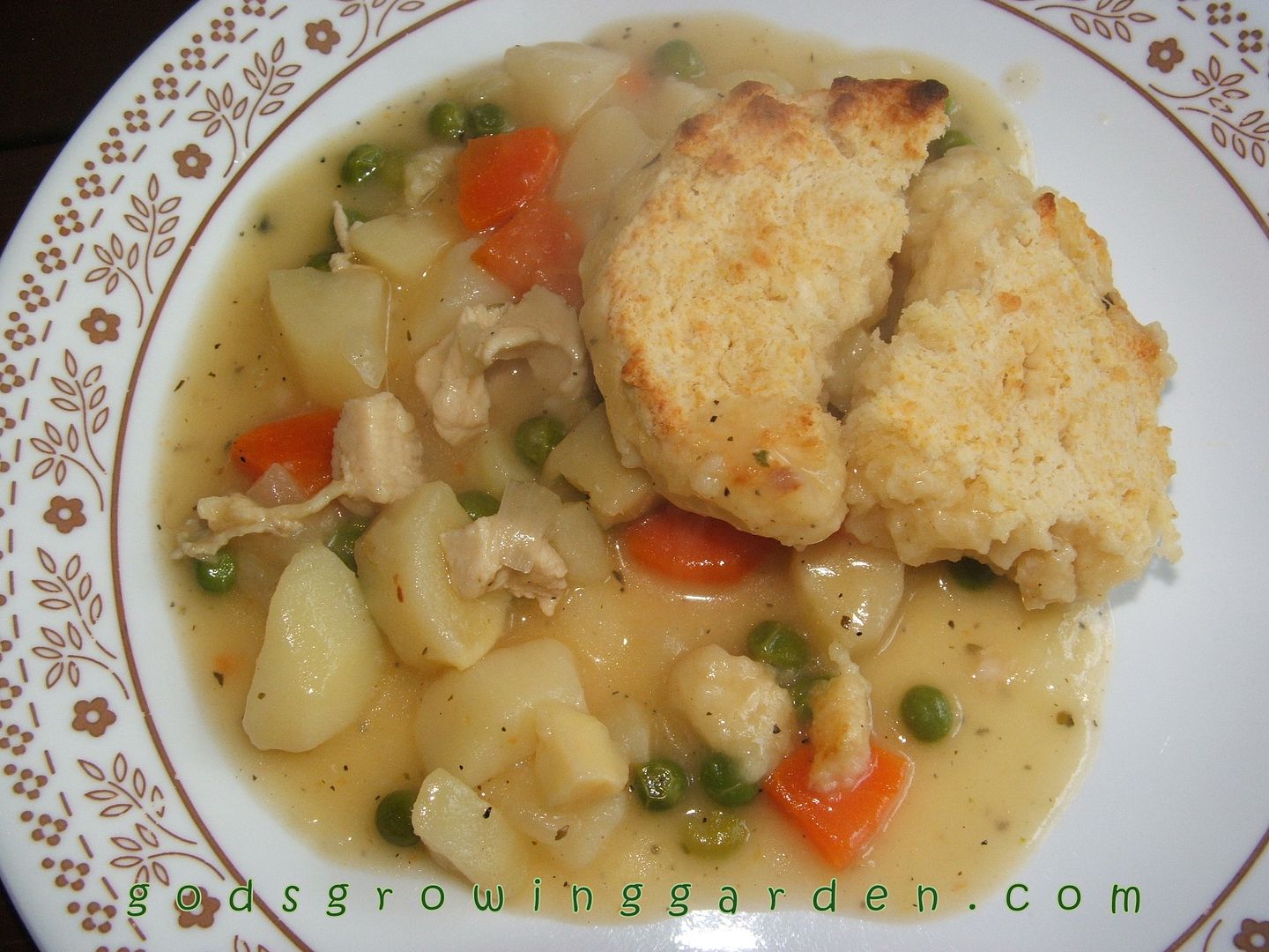 Springtime Chicken Pot Pie by Angie Ouellette-Tower for godsgrowinggarden.com photo 015_zpsfdf5561e.jpg