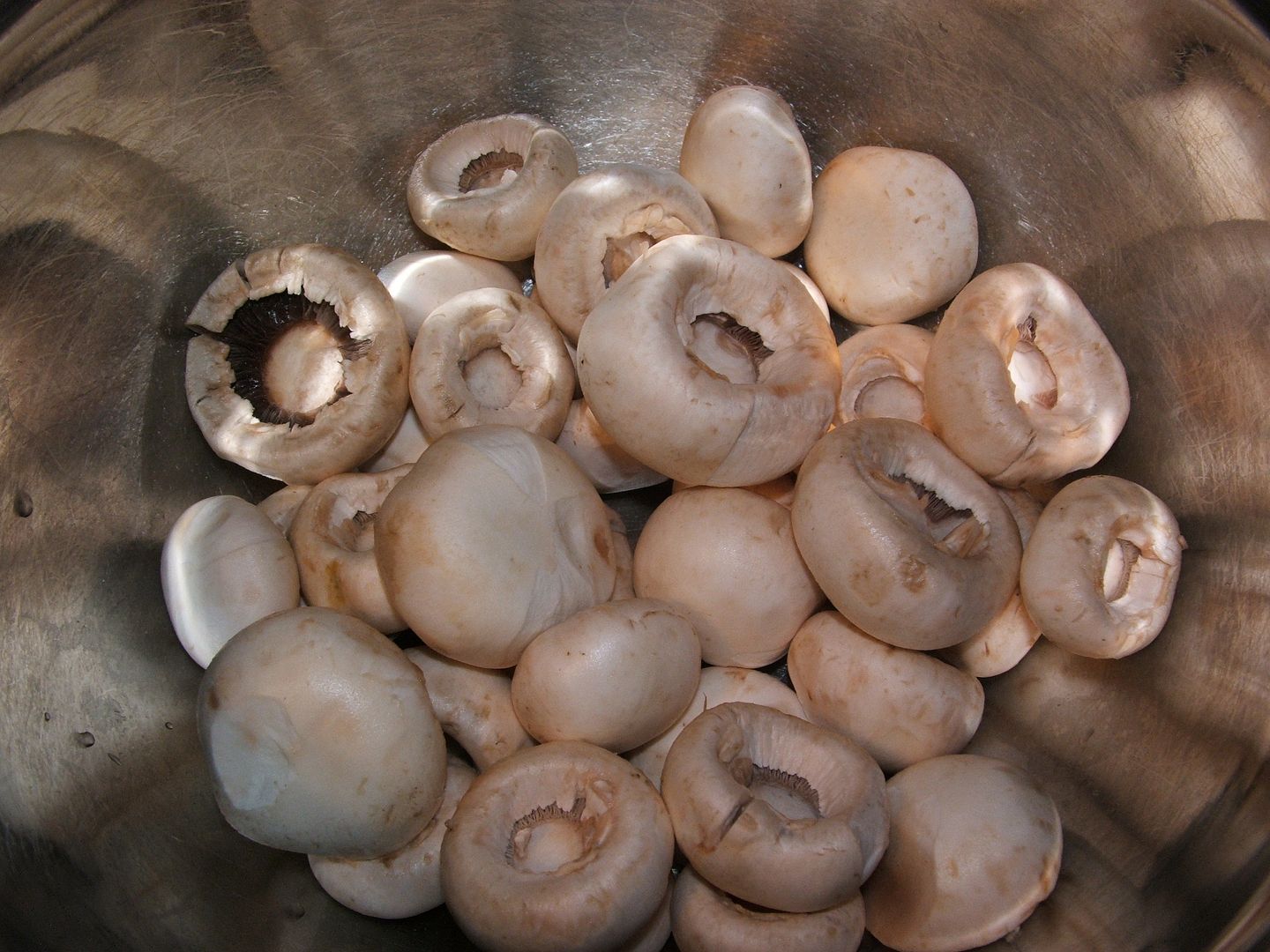 Stuffed Mushrooms by Angie Ouellette-Tower for godsgrowinggarden.com photo 016_zpsa5927cf7.jpg