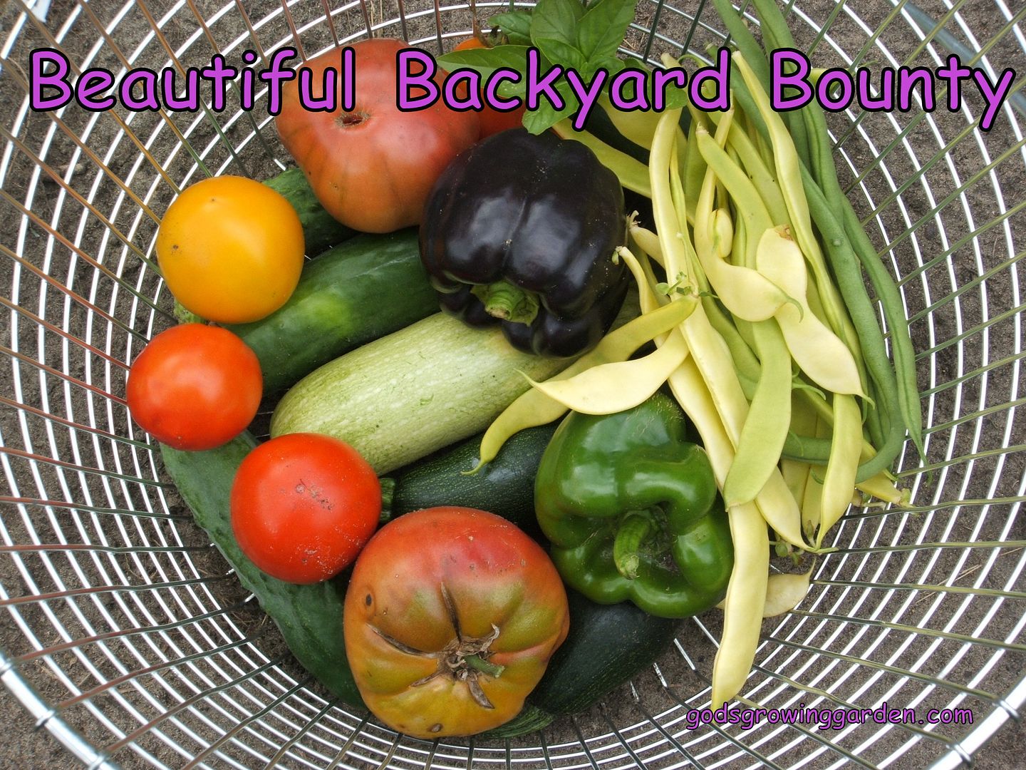 Beautiful Backyard Bounty by Angie Ouellette-Tower for godsgrowinggarden.com photo 028_zps9219c77d.jpg