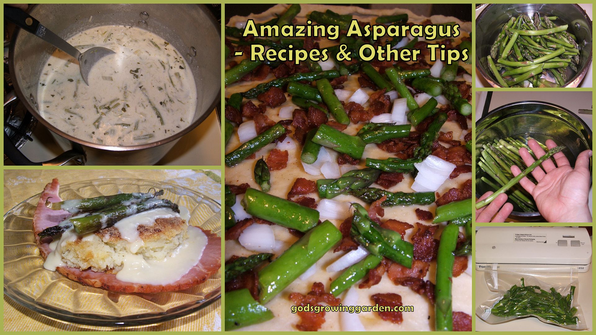 Amazing Asparagus by Angie Ouellette-Tower for godsgrowinggarden.com photo 2013-05-19_zps66a6cbd4.jpg