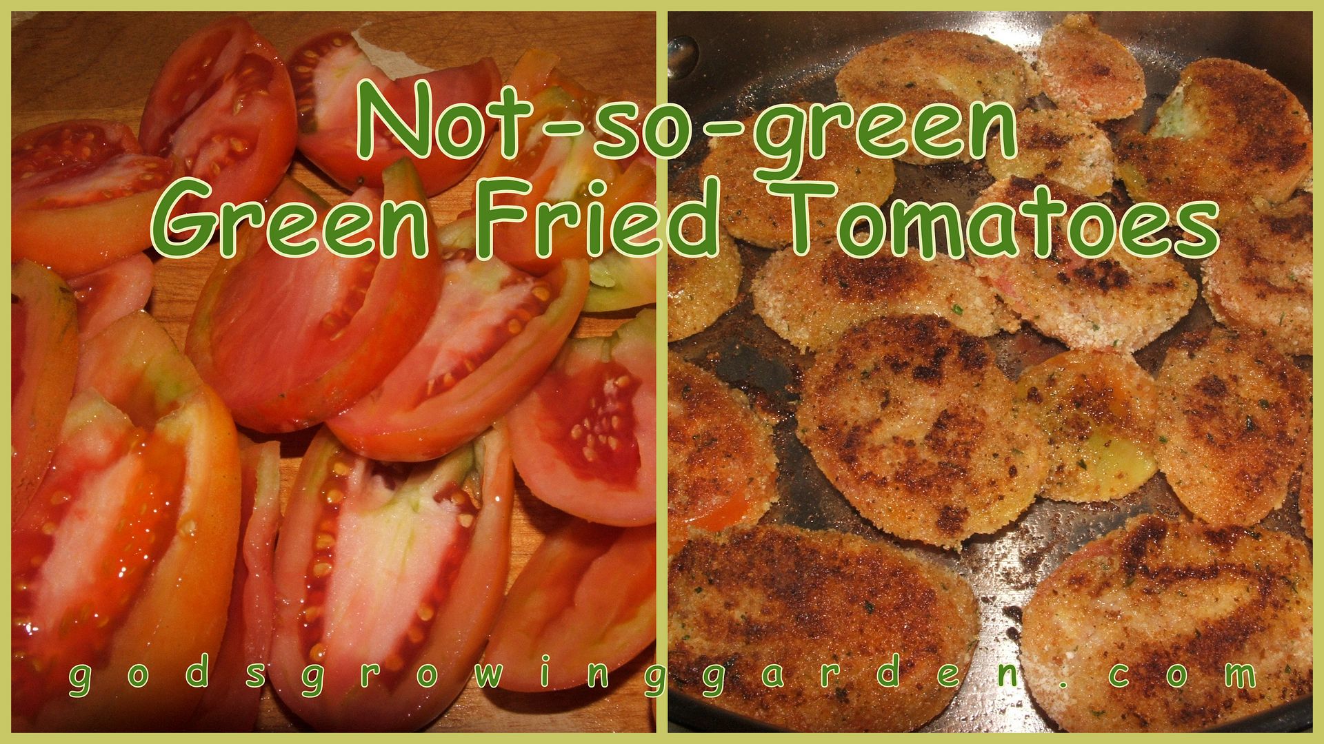 Green Fried Tomatoes by Angie Ouellette-Tower for godsgrowinggarden.com photo 2014-09-22_zps6c5dc04b.jpg