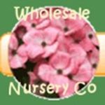 Wholesale Nursery Co