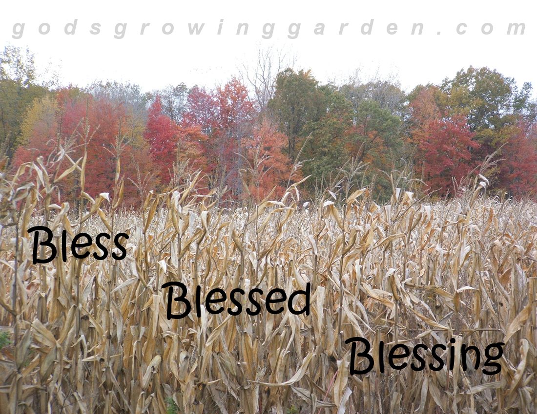 by Angie Ouellette-Tower for http://www.godsgrowinggarden.com/ photo SundayBless_zpsbdhauamy.jpg
