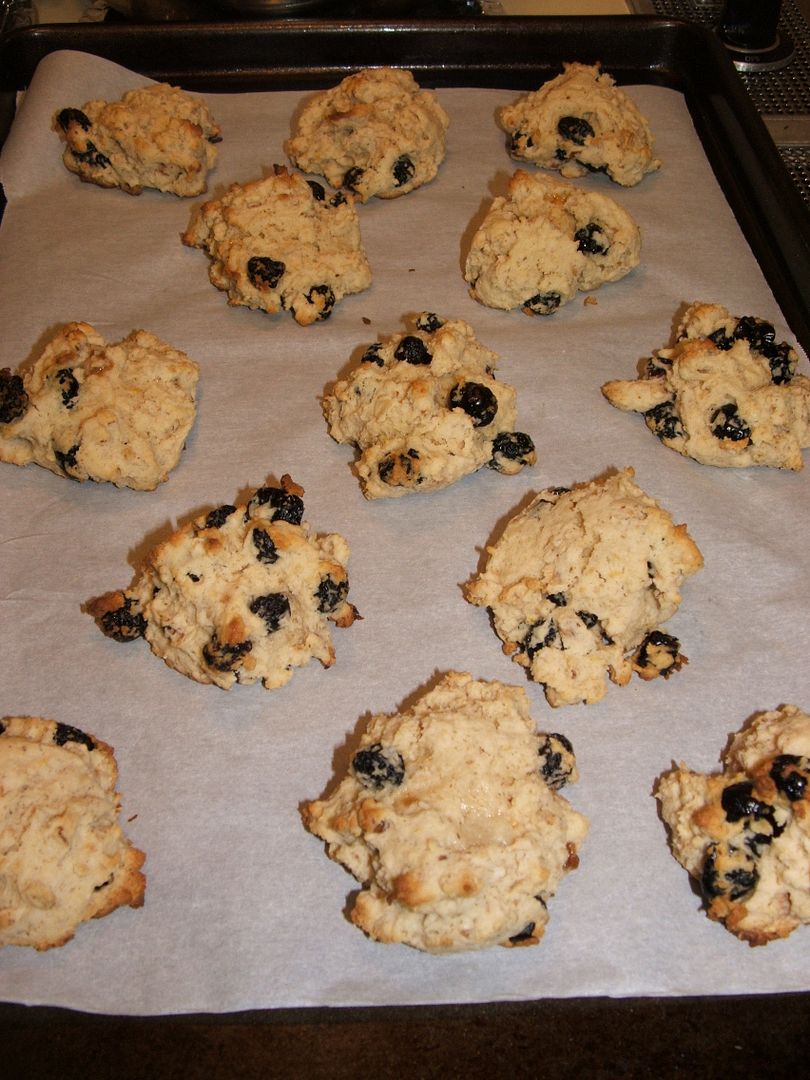 Lemon Blueberry Cookies by Angie Ouellette-Tower for godsgrowinggarden.com photo 003_zpsaedc2b93.jpg