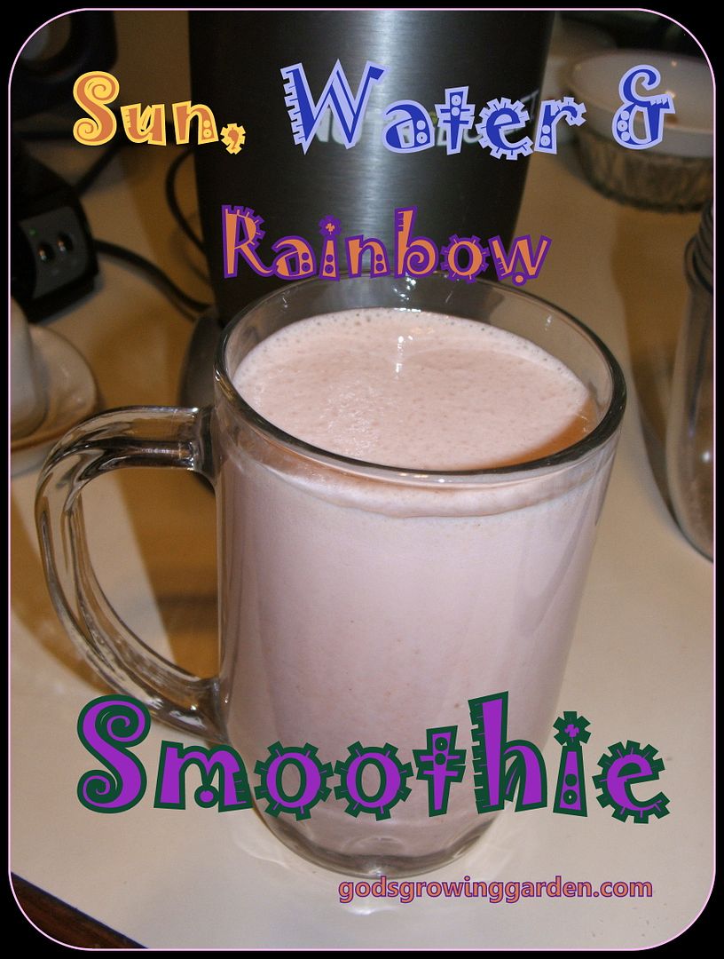 Water, Sun, Rainbow Smoothie by Angie Ouellette-Tower for godsgrowinggarden.com photo 004_zps9536329a.jpg