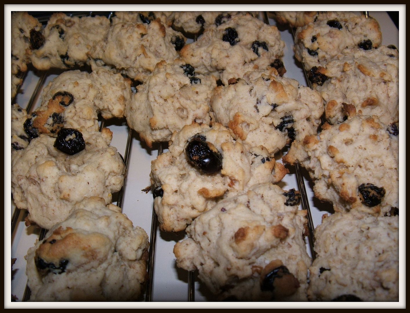 Lemon Blueberry Cookies by Angie Ouellette-Tower for godsgrowinggarden.com photo 006_zps39cad199.jpg