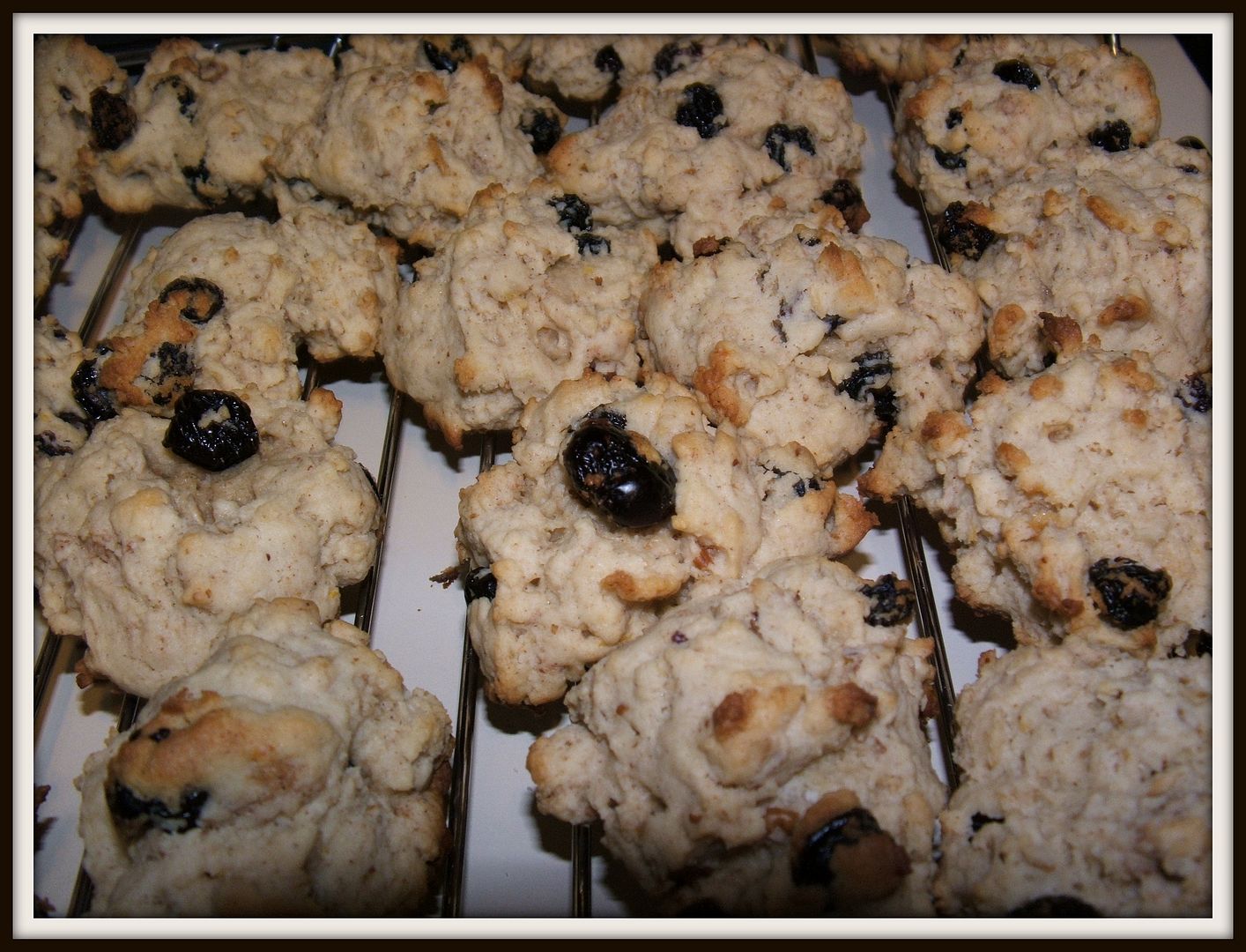 Lemon Blueberry Cookies by Angie Ouellette-Tower for godsgrowinggarden.com photo 006_zps39cad199.jpg