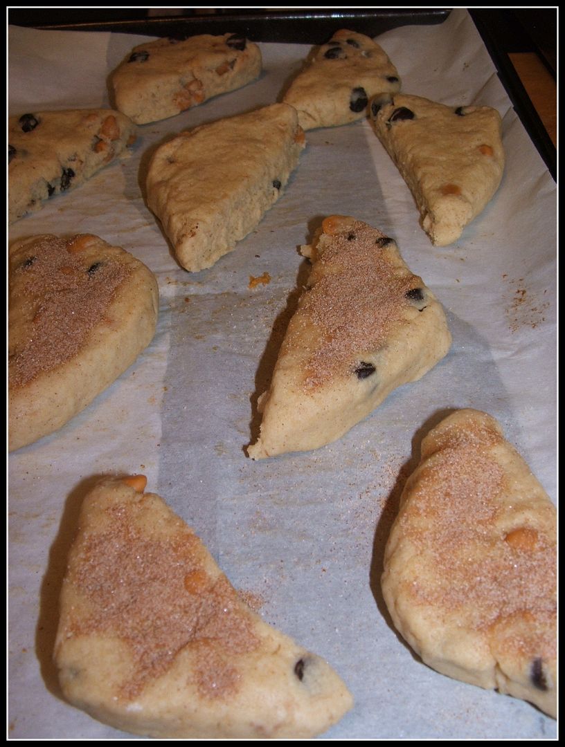 Chocolate & Butterscotch Chip Scones by Angie Ouellette-Tower for godsgrowinggarden.com photo 007_zps2027e494.jpg