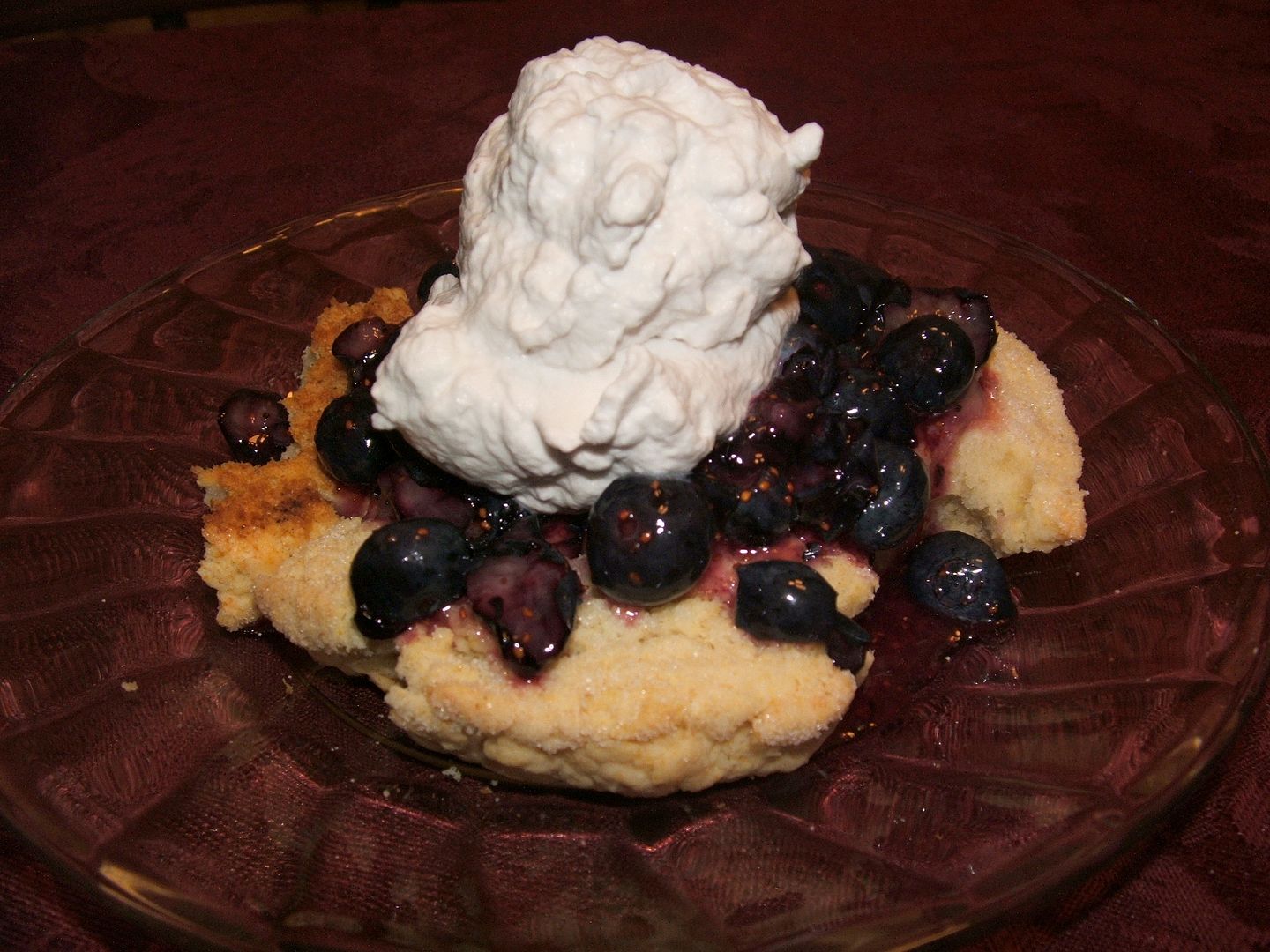 Blueberry Lemon Shortcake by Angie Ouellette-Tower for godsgrowinggarden.com photo 010_zpsaf2a94be.jpg