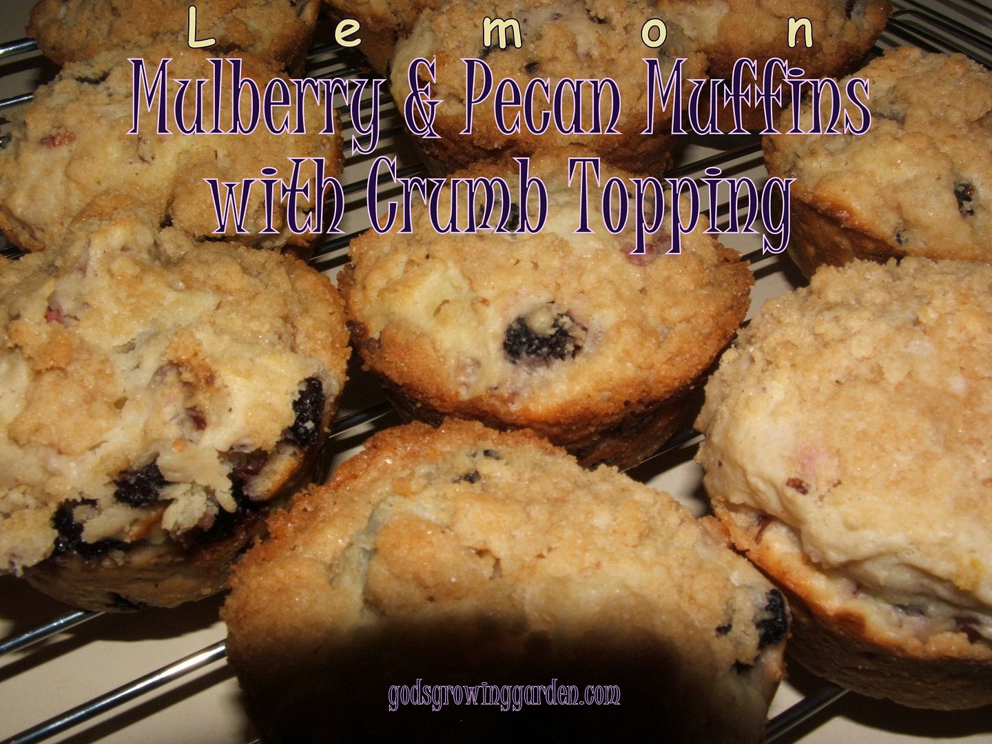 Mulberry Muffins by Angie Ouellette-Tower for godsgrowinggarden.com photo 010_zpsdc35c606.jpg