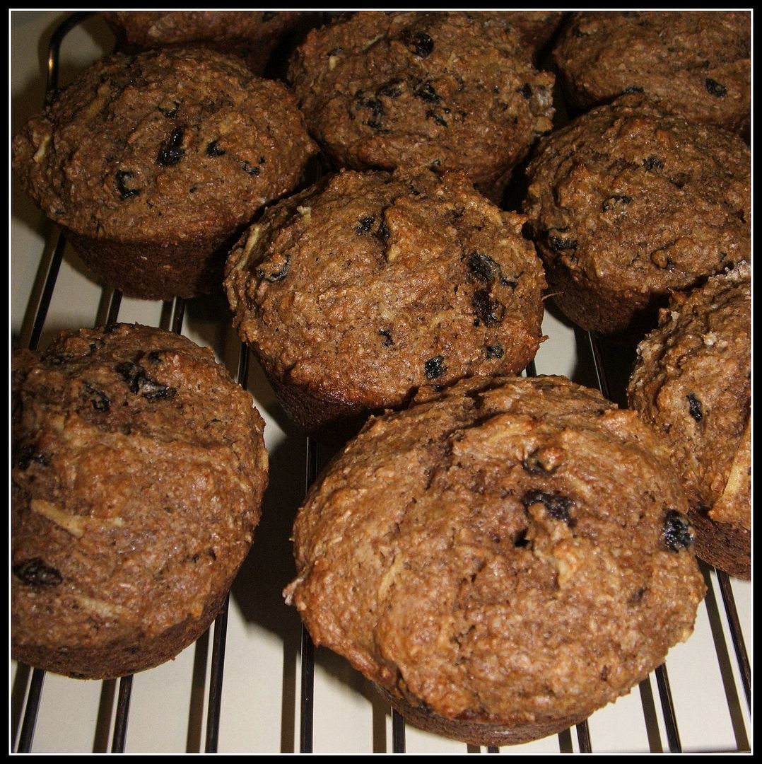 Spice Parsnip Bran Muffins by Angie Ouellette-Tower for godsgrowinggarden.com photo 010_zpsde7afdb1.jpg