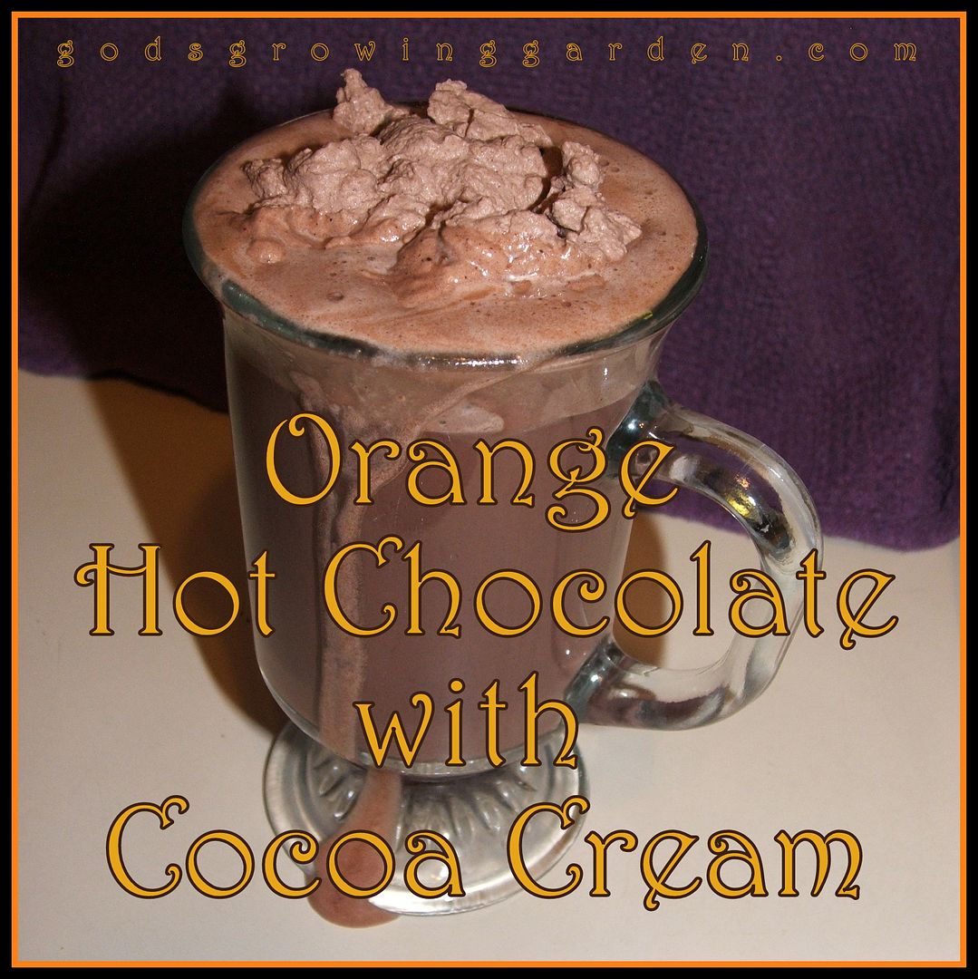 Orange Hot Chocolate by Angie Ouellette-Tower for godsgrowinggarden.com photo 011_zps41d38535.jpg