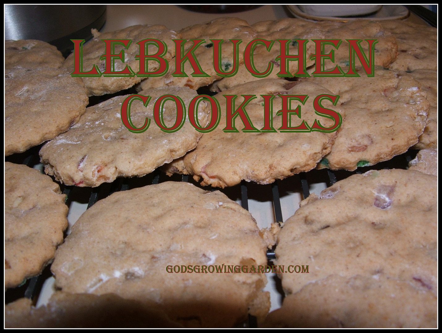 Lebkuchen by Angie Ouellette-Tower for godsgrowinggarden.com photo 011_zps794af252.jpg