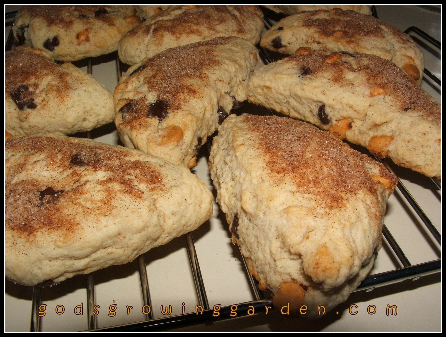 Chocolate & Butterscotch Chip Scones by Angie Ouellette-Tower for godsgrowinggarden.com photo 011_zps818b9ad4.jpg