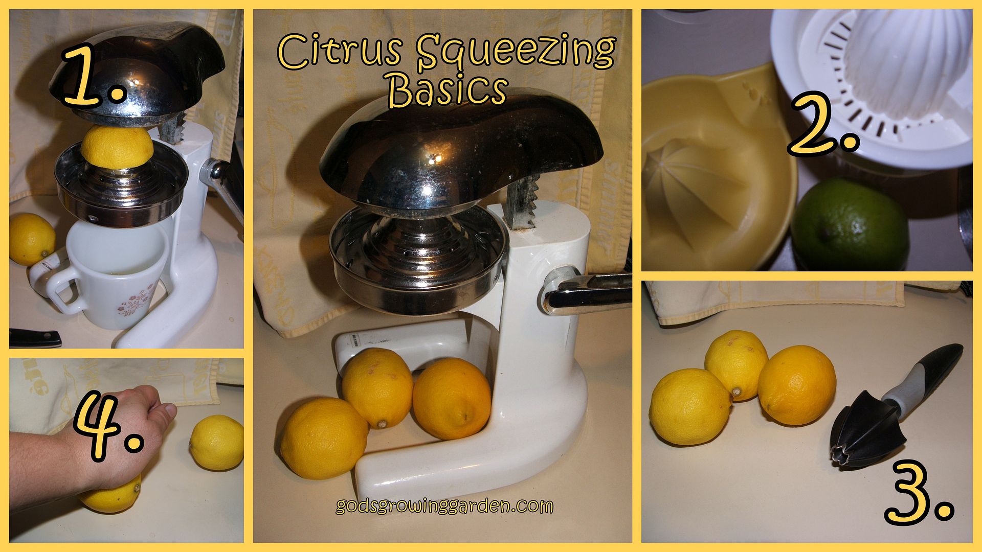 Citrus Squeezing basics by Angie Ouellette-Tower for godsgrowinggarden.com photo 2013-08-27_zps3b0c8090.jpg