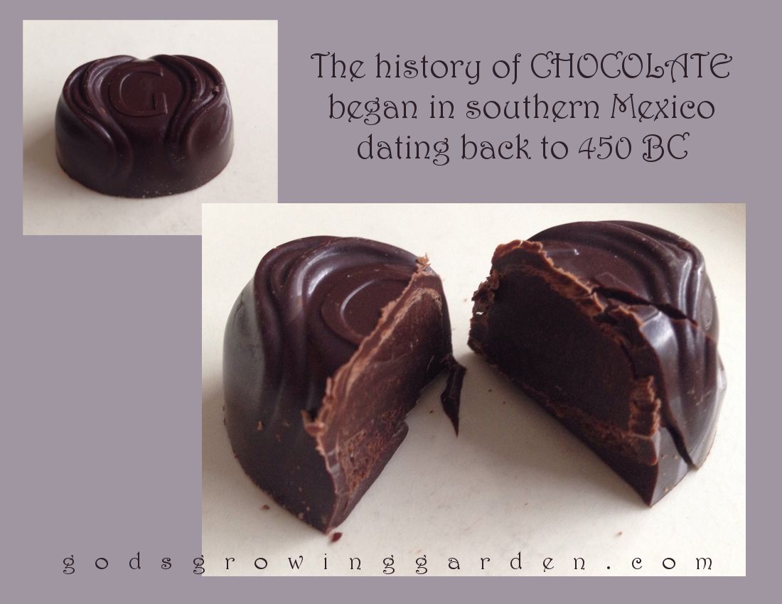 by Angie Ouellette-Tower for https://www.godsgrowinggarden.com/ photo Chocolate3_zpswdo4arex.jpg