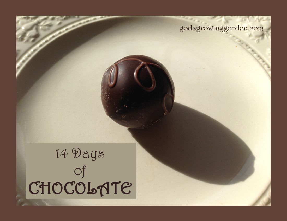 by Angie Ouellette-Tower for https://www.godsgrowinggarden.com/ photo Chocolate_zpsfqenmsb5.jpg