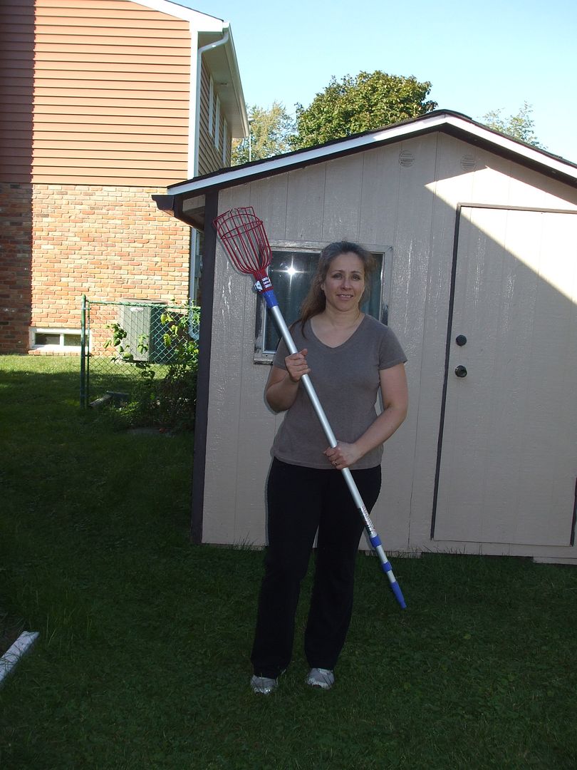 Lacrosse Fruit Picker by Angie Ouellette-Tower for godsgrowinggarden.com photo DSCF0749_zps9de7b37b.jpg