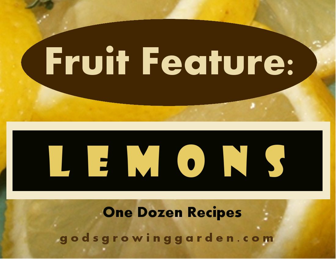 by Angie Ouellette-Tower for http://www.godsgrowinggarden.com/ photo FruitLemon_zpsbtpbwiz0.jpg