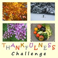 THANKFULNESS Challenge