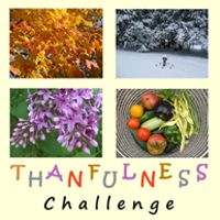 THANKFULNESS Challenge