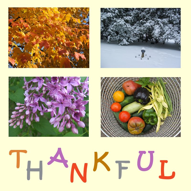 by Angie Ouellette-Tower for https://www.godsgrowinggarden.com/ photo WWthankful_zpspin08fd1.jpg