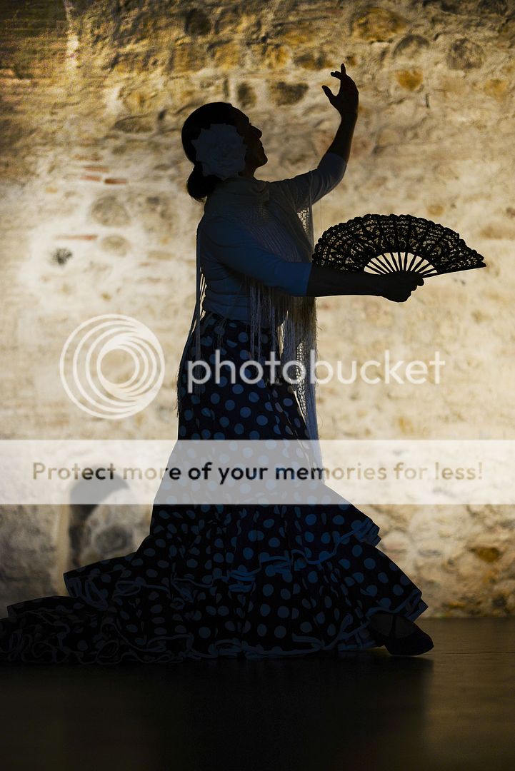 Bienal de Flamenco 2008 (ABC)