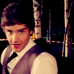Liam Payne Pictures, Images and Photos